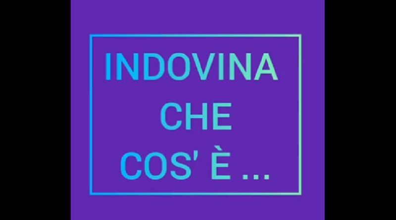 Indovina che cos'è - Il Fatto Alimentare