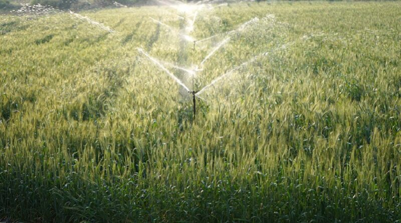 Acqua, il rinvio della stagione irrigua scelta indispensabile per favorire l’invaso dei laghi