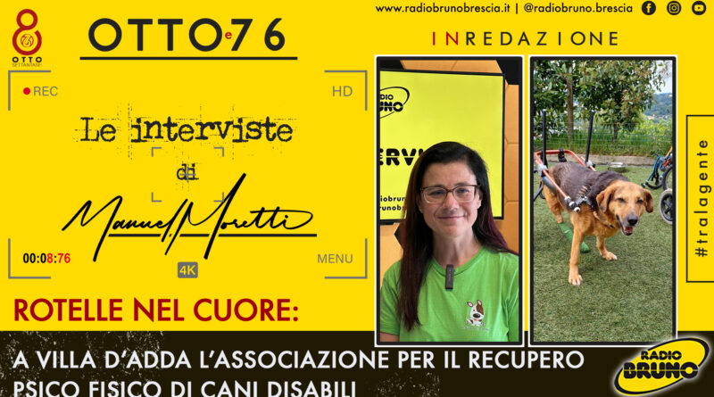 Rotelle nel Cuore: il rifugio per cani che si occupa del recupero psico fisico di cani disabili