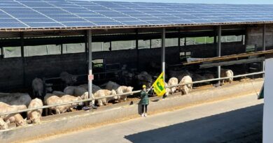 Coldiretti: per il fotovoltaico chiesto al governo un consumo del suolo agricolo pari allo 0%