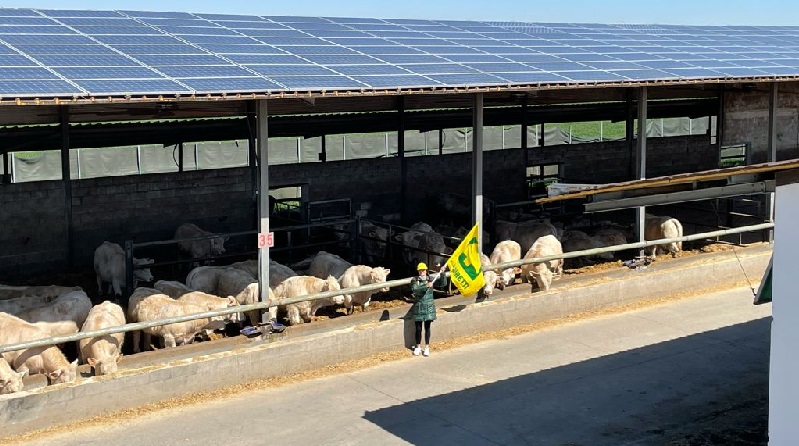 Coldiretti: per il fotovoltaico chiesto al governo un consumo del suolo agricolo pari allo 0%