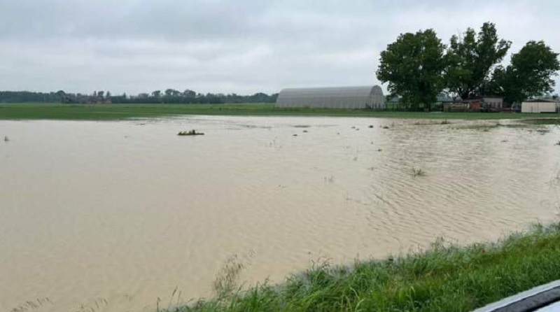 Maltempo, Lombardia: campi sommersi Semine in tilt, a rischio orzo e frumento