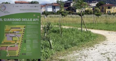 Il Giardino delle Api: un ecosistema verde per far riofiorire le diversità