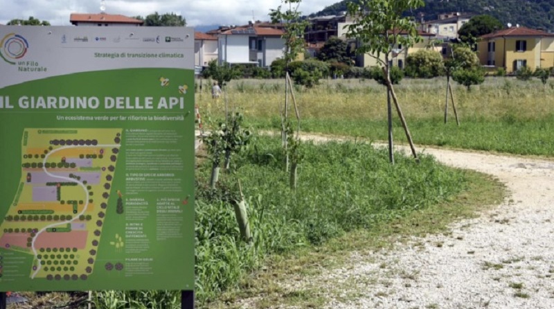 Il Giardino delle Api: un ecosistema verde per far riofiorire le diversità