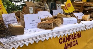 Lombardia, festa del grano nei mercati contadini tra show cooking, esposizioni e degustazioni