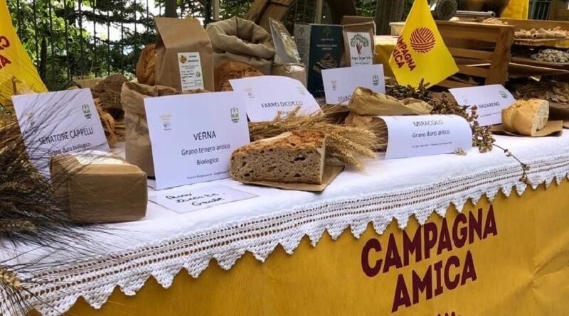 Lombardia, festa del grano nei mercati contadini tra show cooking, esposizioni e degustazioni