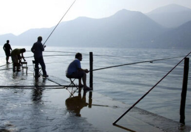 Pesca Lago di Garda: “Bene studio sul Coregone, obiettivo reintrodurlo nel Garda. Rappresenta 80% del pescato”