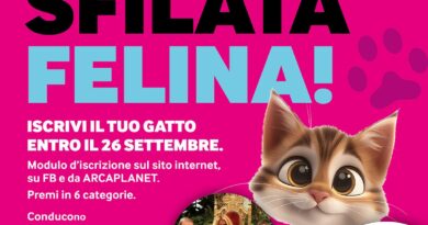 Alle Vele di Desenzano arriva la Sfilata Felina