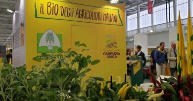 Biologico, nella campagne lombarde aziende raddoppiate in dieci anni