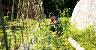 Festa degli Orti Slow Food: in Lombardia 18 scuole e 72 classi celebrano insieme la bellezza di Essere Natura