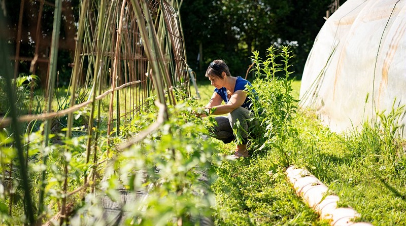 Festa degli Orti Slow Food: in Lombardia 18 scuole e 72 classi celebrano insieme la bellezza di Essere Natura