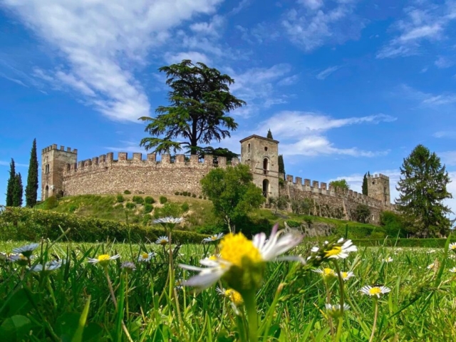 Lombardia da scoprire: Castellaro Lagusello (MN) - Foto: @alessandrosalvarani