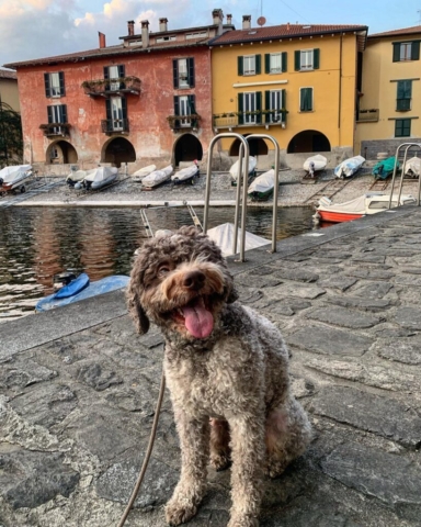 Lombardia da scoprire: Mandello del Lario (LC) - Foto: @dantelagottoromagnolo