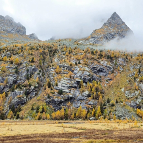 Lombardia da scoprire: Val Masino (SO) - Foto @vincenzo_fontana