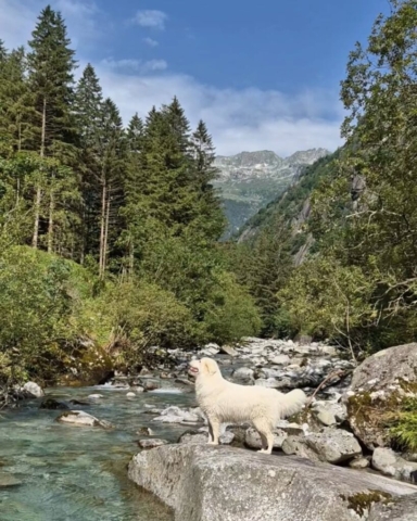 Lombardia da scoprire: Val Masino (SO) - Foto @zara.maremmamia