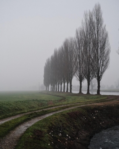 Lombardia da scoprire: Comazzo (LO) - Photo: @fabio.fable